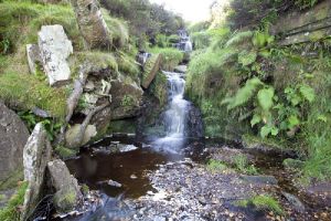 bronte falls 4 sm.jpg